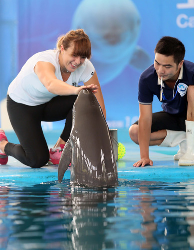 中小团队与 中小团队与